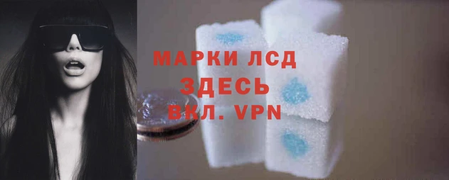 mdpv Кинешма