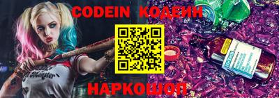МДПВ Кингисепп