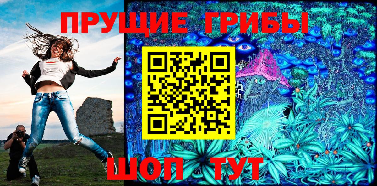 Псилоцибиновые грибы MAGIC MUSHROOMS  Псилоцибиновые грибы Psilocybine cubensis  Кохма  наркотики  Вход с VPN 