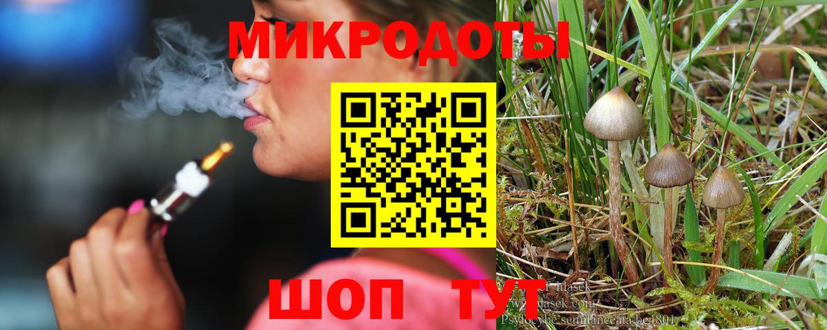 Галлюциногенные грибы MAGIC MUSHROOMS Кохма